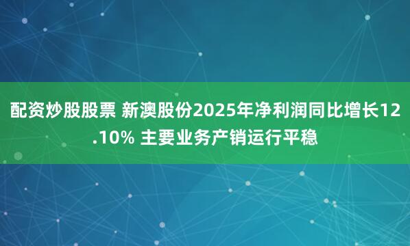 配资炒股股票 新澳股份2025年净利润同比增长12.10% 主要业务产销运行平稳